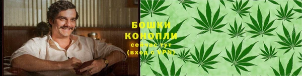 амф Пересвет