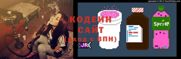 амф Пересвет