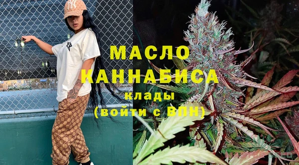 индика Переславль-Залесский