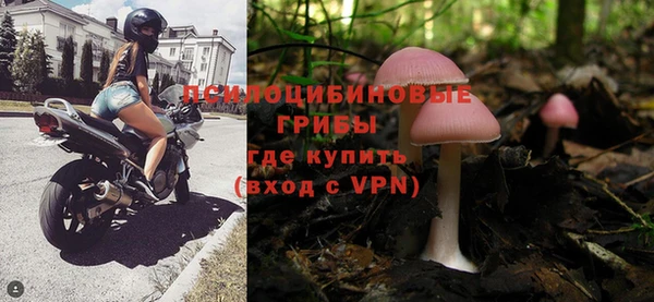 индика Переславль-Залесский