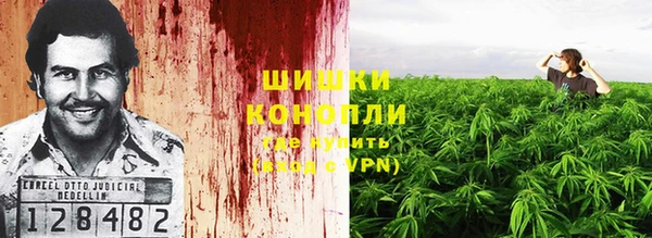 амф Пересвет