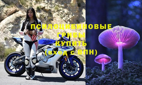 амф Пересвет