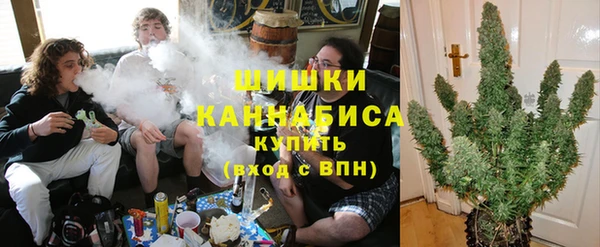 индика Переславль-Залесский