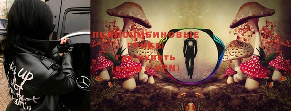 индика Переславль-Залесский