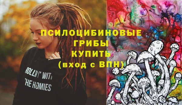 индика Переславль-Залесский