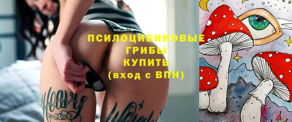 амф Пересвет