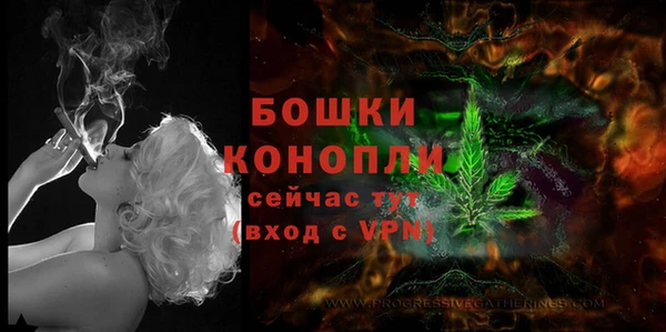 индика Переславль-Залесский