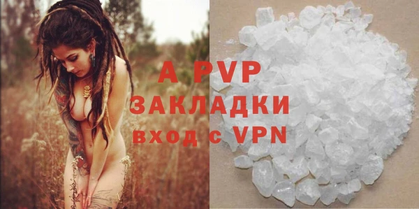 индика Переславль-Залесский